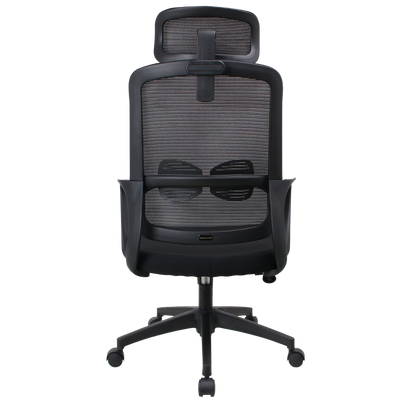 InterGlide Vasikos Ergonomic Mesh Chair