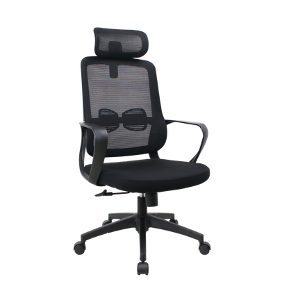 InterGlide Vasikos Ergonomic Mesh Chair